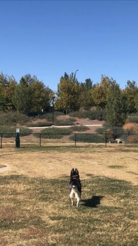 AC9h4nqoMcWNeV7W3yccekaKvTt8ZADJ yKg 3xVosyDBOvQC t fpUgjM60VyUJzPMnHGICT0yXLW1qx5ws53J9ZJvlKBR4kFNTXjvA0fjPeFmHNQQfohRebQ7ZSmpQhBdV0P3c5n6Aw1600 h1000 k no