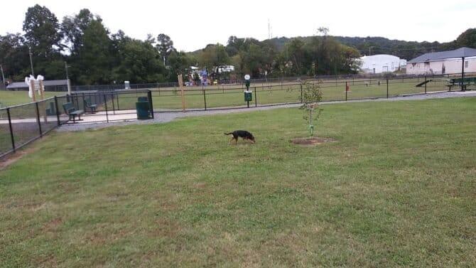 AC9h4nqoOGdmF23uoKklSSqGJO4j1nI6VnuKv59lcMayDy5n1tC 1FBdJMZlk2dWusenQ8 uKLH627v77PFYrOPhK9P 5KfNyE9gUjhIrXAmjE5DzcTJB7wcTPc8 0IFuuPJVkni9bR99Aw1600 h1000 k no