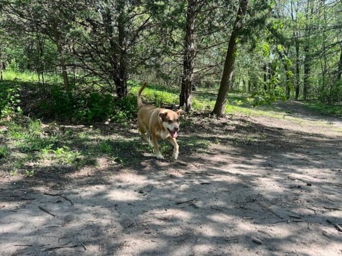 AC9h4nqoY AfufbYqITbJMenjv5Z3Q avLISFRz5TXmI SPmcRcJ1O1kkp kdSxlxlenz1dTUGHOWiPaPTcsjA9Bxp9yXw3ScvNnDlJ91HvNQKekfQBi7BRhSu8Vf fCZAFphEOu7odVw1600 h1000 k no