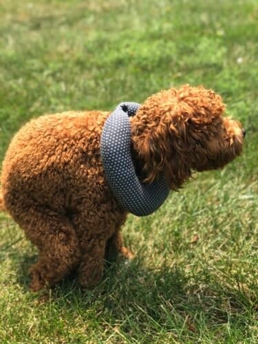 AC9h4nqodKNU1ZDLKn f6A j3RwEBFSAkhdkob7HuPSgXWzTzcGiTYVRSrTZjha1eWEhmSwFogPDDdUDXfanHGRmNLyvg3lMV b22NNmQEHBmzaWYWkWC 4WIQF9hcSjY7JC2M6v9DlkTgw1600 h1000 k no