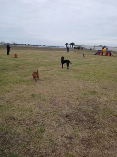 AC9h4nqokQ uT3w7F18wKCCgGWxyTimxMcutHYmbcH4JQ6ceyWt9webvPckFOxuC8vV0kPS6nIIl8BzYign54HxU4Pr04fZWc5KTee Ikgw1600 h1000 k no