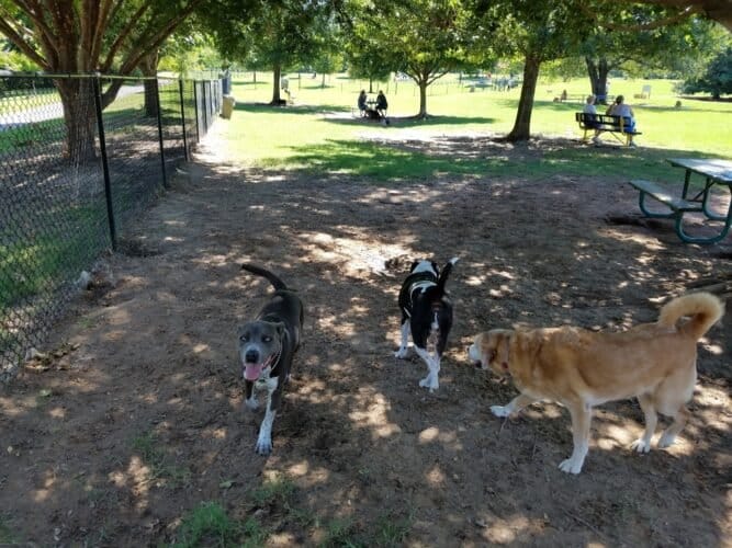 AC9h4nqp1eFq8Na1PBVz6pMxVVGO7vNtF4Y5FXNYdshguRWA9LD87iy1GGqhqWR6oVejCMK4J1u4LCzVMbcr DfS6tsJhH3o4NQv192goFcwAibxLIwtxEoSe 8EDYHsf DerP7Jruu0Jgw1600 h1000 k no