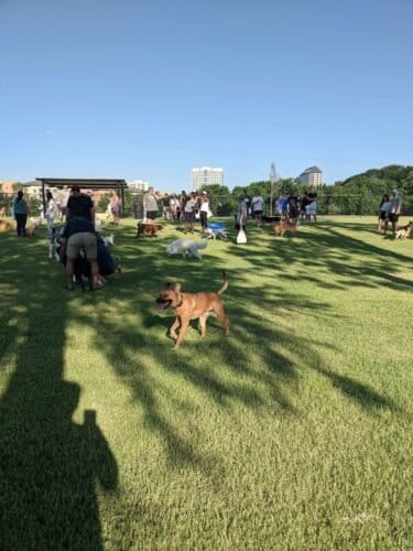 AC9h4nqpHOSsugS629CPZvEIX1pvEs DyzYpudzKHjjp7Am2cM7FJh2p YrS 6riSG40u jINk05linn  lzQb9 XHh3k5AdMc0zQhKu9nkh2ragU8R6alNFFm1oDZhkbGV6ScFwaZSbcgw1600 h1000 k no