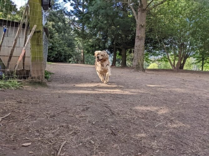 AC9h4nqpHuDjCO3o2vI3qQrYWqBo2BDl6Rfaek8u 6tLTRNc35YKqJpj iuMjiY2UOUZdF4ReNhYRcj7ipypeJyLvJEuKvgNGtnLKAQVpqmeOW1ORY6whkWvhCOzhRZgodrgKsl1e LQhAw1600 h1000 k no