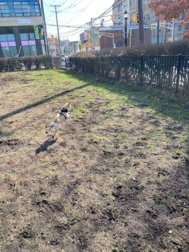 AC9h4nqpYDpkvcpEJBrEQ1L50ivZN9SbpQpFC4M1pAsM aQYGEY0Dbf iYrb eZhR2aIqh8J698oX2AVpt11TZrRBqZl53OmGW G5T36uKmeU5AlSwjBXWjMH8me35uIXyQ7DlafIlpaw1600 h1000 k no