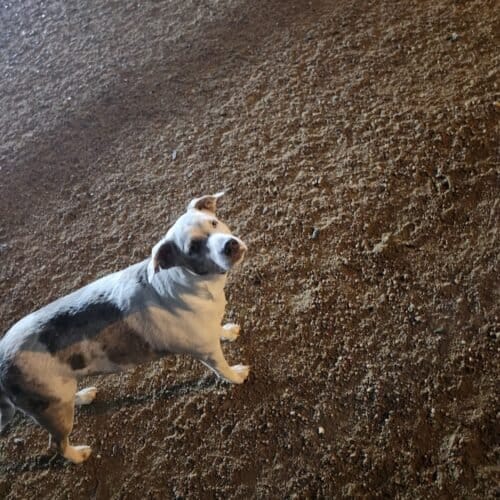 AC9h4nqpZAkzuJaLkwzmeoYKAR0P3Rx pT JDjG86asJeIzdgm0VCX bp8ooQ5qHrPWdeYQb4TB vxXciTVkkwsvB IbqKijuF5h NdCwHjC0twfIb9EIeJ1N7HNUaSkDXexYqu3XGHCw1600 h1000 k no