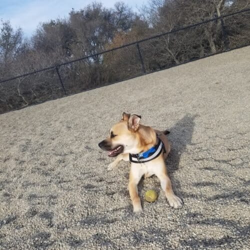 AC9h4nqpdvfcHPx2eZiBT1TNpUfW2sulLViobpJnAR5k0DK6RRiMsK4GpQHuBAb 9JszCVRtiyhHKbh46vLQyR91Z8pbHd9Fk68bfpSjNMdCmUSnG noBizJJ3BuVFPgzBOPfycivbN w1600 h1000 k no