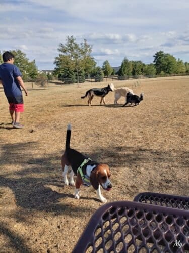 AC9h4nqpfvKy1mm80Rp 8Km073d9Rts144pNYqmpEBKiI4EOGfcfuYojubqY4cHpEMZRpWGcl8R8Pupad 7SipzPSp KD22hoOa8Oo9xTLoPJrFo3C7EeeE6dyt 1BHbxo798cB VRvsw1600 h1000 k no