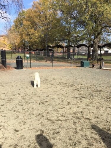 AC9h4nqpjjjcV3ZoS5IZ8oiVOohoh8JKV85zIhI0sqzpJf4RWoTW KDOFY UuEFXojWYh66rsbRoio6SKRyN9 xb3D1OIsuejE2e6p1of9RgcWGxIeM5CymrH uDFnxjPUDrX9wvtkRbw1600 h1000 k no