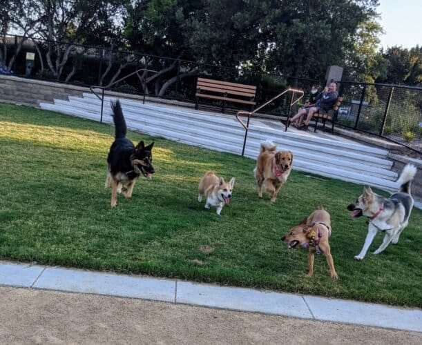 AC9h4nqpxIrru5ula24Ywi5zikhADxKP45bniSUEDRt1paHlohUu23CPOlWsVpb4P4KMqRjdBlK H59CDm16f762Bll1us4ASjCihmkseMewVDgVHBE 32wH1AvHoHEPmOyr8WPcntEYw1600 h1000 k no