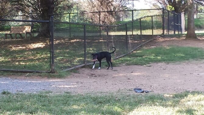 AC9h4nqq jdpB6hiJhI 9EEInGEo cWGmI4clZGnYyv6IjPJtI3jJPq1va2EqJ6jWbs8hq1TgAqIsDs9lrhZBl6jNp0Oi1B6lajKNK6E5mOQDM3CKxSpfw67HKTvgpTVyqxStSA9dITHw1600 h1000 k no