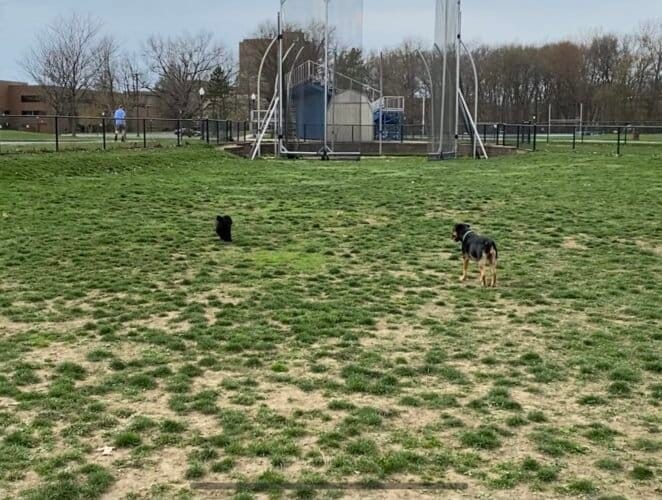 AC9h4nqq1lOMs6Hh1 kI Q1oFIGL5kx5U0jVQbS0UM1Far u58QbmczQkuNZqvPk2CXlFZD5 lx6qf2VjqGKL1T ap09jxVuqFDv1f VqqYw5KMK004X1XMyo 2a6c2qLfzD08QLdNF9Sgw1600 h1000 k no