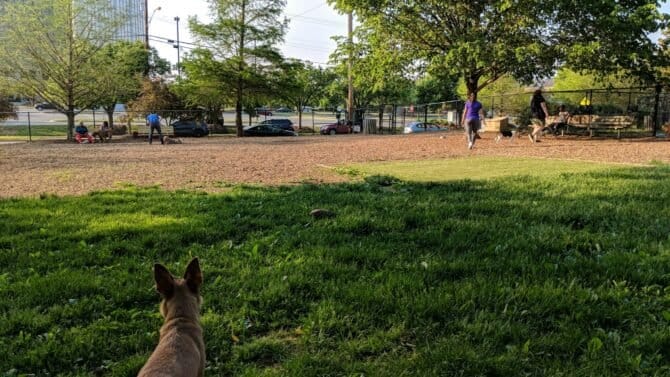 AC9h4nqq52ULqKFAuXtb3FOl24DKPjIKCVRCD6ppHPVs eIlRIPB3uHNm AItdrOSbfOKieeRNjDF8bfrJk mDJ0SPYrKkG3NVFZ1VHs55uPaTuIRMZLU8YMlbAINtkDRUGRdhN6dv6gw1600 h1000 k no