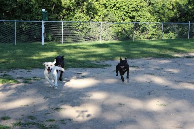 AC9h4nqqBvsFgBHPkpLCgpoZgJb1RwfiS3McP5198NXv4YraQAOXuoPkIxGZSpkWB5V2Ajo93XLtKi28aciovo4QbTbT j2cc wVUOH54Q3rzkxBegfpZjR7PKukN4kR P xB toIHbXw1600 h1000 k no