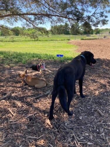 AC9h4nqqMoTy7Ks2kmmBBOUxKtbhCBSvO3QIJ6fvr8ZsLoYdTrzxNrUzijJwtiP A7ISRAszpRj q UckplNE6IUCIGqSgsnjx8j2rgrALFo1SBYafB0OidZAsV2tkjqj6OBX5Q0ILw1600 h1000 k no