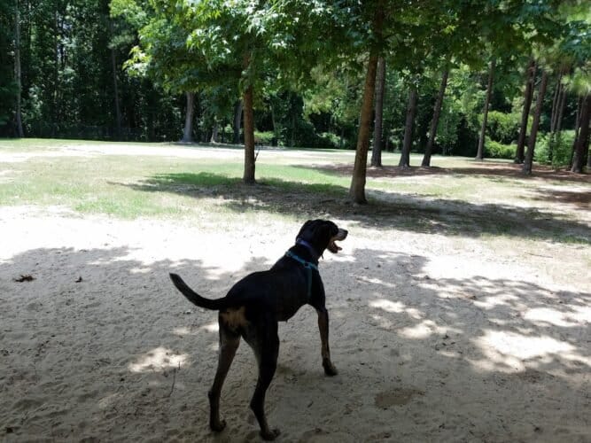 AC9h4nqqNhi5kr 1cWC9nUGP9WHFRVPI7nRwpsVQyMEWE lPThJnJszHQ83i8TB1ten3R CWLgxjQUaV5VzfW9A7W9PR4oZSox4v9Fn7UAw1600 h1000 k no