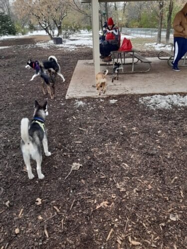 AC9h4nqqOS 8YovwmYIOMGfLUtZG6t j7ptvJ50TcJ2nPv gTyLP4OujhACJh0Jz3TrvLmoox9i gGK28Uf3rJlA1BDkM1cMJ1KKycIQFsH8Qycvv4pu1pJy62afg479u1jLAJXRdbiGJAw1600 h1000 k no