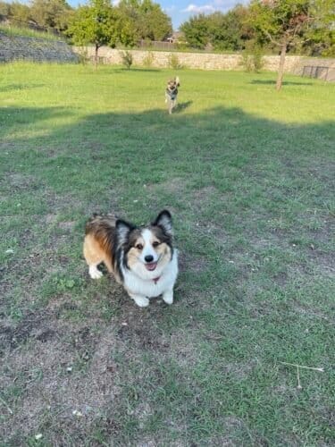 AC9h4nqqYCnBXI DL0Wtw54o bYZNybaeN5OJH6G4PW2qMkJrccOmIsiAcvH7K UceNCVoEM87fiYPPJEmAdnukeztZ5S9nNqz5Uksl1buGdAkJXG5QRrP4EnmrkHjV97MNBPLKxnpovaQw1600 h1000 k no