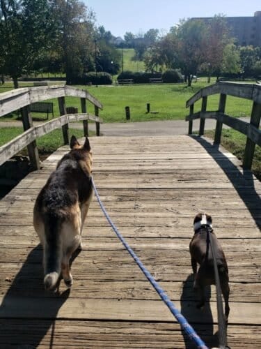 AC9h4nqqoJHlLaGIpL0Vch5cIbhRK4HRVH4y6Vat1vPiIGzX5p7d 6PycwiRv tMT00kCh2hXeTQzUdRw1u VXVxpEl1bgZaN9YFjKLfzboKtseqeSvJfhII4OEOyv7kTl2rGfOP20qPw1600 h1000 k no