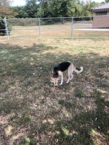 AC9h4nqrJLCVs5IvCY2LKBXCUXmv0nCIAB hnZGEvRZSpCX5SEbDSNcyhP7OC k 5fiYV1bf9IsVTrnOIZwbhuYyKdEg9HqDsG3d2V9C6QxO SANKE2wFUOudpcmyNmjq3LeeLsXToV6w1600 h1000 k no