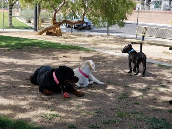 AC9h4nqrPAN67rllaZC6fBB8bgSe cwcb f8tUpuRu37DmmF47jvEhKy hsr2WXrsGxW0oSBJmlMyWBR6thZSC7Twk7pRyUbPpHOTUyZ0wb8Qtq5HsxrwV4giW1TbjBJ AGzLzvesp97wgw1600 h1000 k no