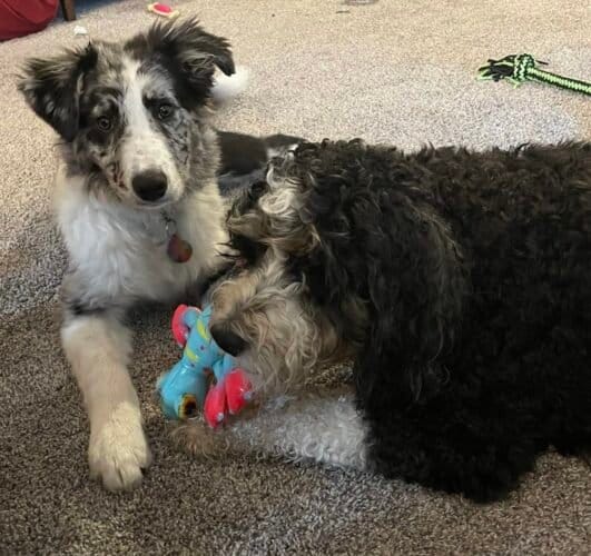 AC9h4nqrSGx55BJLxw9fSDplNQgYsd l5tyuz2Z8DGSsg0AThfFSfA1YITc52zERkO9zFkJ48yBr9qYOCDk5MSHUOlft4i8pFGFeIG5mkhJ3sN9ezaPVbanVaM ApwOar1 4c0y6Mvuqagw1600 h1000 k no