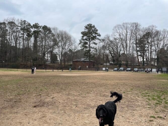 AC9h4nqrkiG RTi0WVBk3JUezA9YEEcZGlQbWMfGnEvIJZx4l2gQeAE6DsjpBqWJWTjw0nuY eE4k3CiguDHvGfuCwgdxazv0LKYVEcs 6j5nJ6Bc3lJ2Dpw4dNgg8mhQWCvED8dBgEw1600 h1000 k no