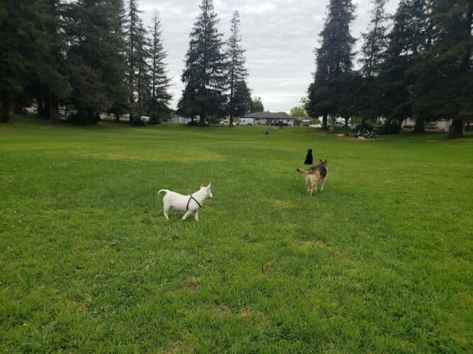 AC9h4nqrqpvYSkTkLC0I0QzHDiG3smHdcuN7xMbYG6d4jFi7BmRPmfVCMY2oy5gnEdaBuiFczhbTMvhKNWJvKKKigkw58mX6TbYaqk101Tz ChA02K69BNXOvZGOAd 8XQU6 faXrFmFw1600 h1000 k no