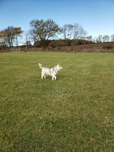 AC9h4nqrs8AlUdmlLQdAxOd3aypdSqUSYhOjPgXjo0bZjd L8C4I2JGnTvXnFEVfcSlFaZdt1Z1qbLr1lTTSuNzmXZHkIWNQ6lSeeNs59b CPp2iBZlrU7J5uDYgJ14Wq3DBfOR 3BqCBAw1600 h1000 k no