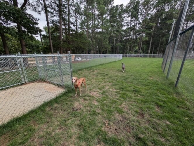 AC9h4nqrtSk9FZ4V8gADczNcIel0yTy1 m0XJRxl3YvdX8SKKQCOyu6jYkNQ4i4RQgu1JjgmPQgwKLSFcJOr1FdlkfvEjT dub7TI 7qcmNFxMkRbvLY8M9njqtEoUOa6tMkrWs5YriFw1600 h1000 k no