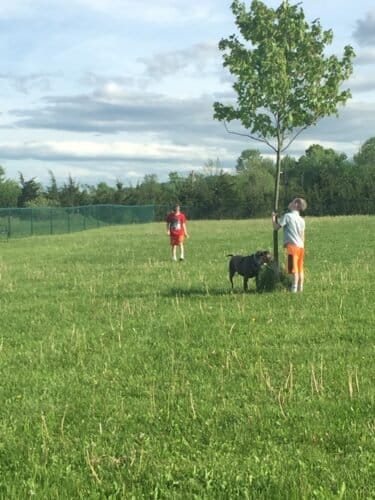 AC9h4nqs7eURY9 IUxFvBLXQnjcnkDHD0raLnX4E8KKwLDGfL5BVp ngfdV6NqPNrJF1YZfWODkRG9g8HipO7e FbNs1FbX3g2FdBYB4t06aWzi20im5icLaR9cqNQiC3NltbJuoMBB1Ygw1600 h1000 k no