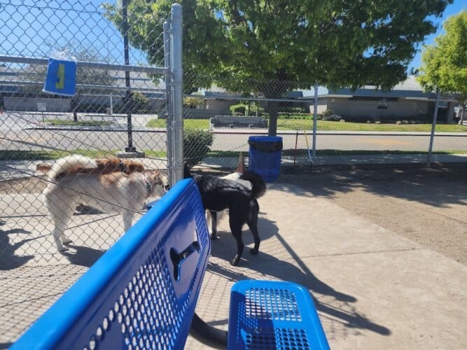 AC9h4nqs97EsxeXJaI 5YDecMRtscsFU0TTAo5fVuYrWeejJ4aOFLaceB6NaDYwLPDXQ6k85VQuTvjFGRM  GG1ruKu8ymXAaxmremEIuS1m2PkQs6YBjk4zxKuSiZ xDJ3dwQoUxcw1600 h1000 k no