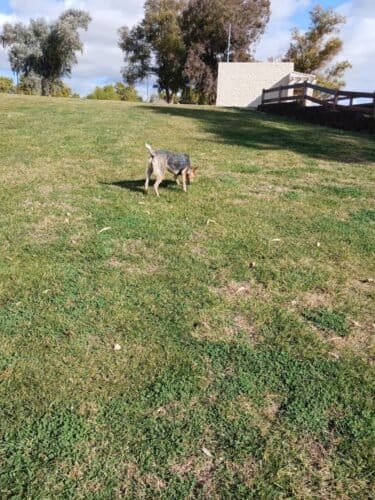 AC9h4nqsO6Hwm Xow WTqW9eFmkBrkkFxQXH77e ghqIfsbE GfKjDCZbps2EN0u87 GXZ8Az0eL9 9JyAHG5 XUwqEw8KRo4Y5TKT jqsl7apZuGWPM48OCIYiyjeBjmGUSGXc4nfUZCQw1600 h1000 k no