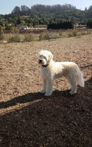 AC9h4nqsWhvKM1JVVTDY7ifT PiiJGlY3BK2rrJstrBccl3aj cGgI9 E0hEiIDnUqkAYz3 A E Pk0xiNMLE469Vyz1mn8qaQ VMavc y8wguV2ROSswRtmfU7fjJwlyx xFUdseOww1600 h1000 k no