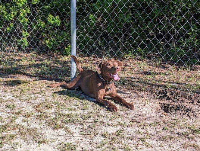 AC9h4nqsWohSk WUm D RTwdWs0jRn9g6jZceFyBgBMwlRuXIRJF1zwIhiLV2b10KOaS9UE6dS3TdQW9Yc4opBjHH0aVGZdhLeg9AuQ4iGHJ BSq CxD8owPp3c9KS2utHRUOgUHO7yJxAw1600 h1000 k no