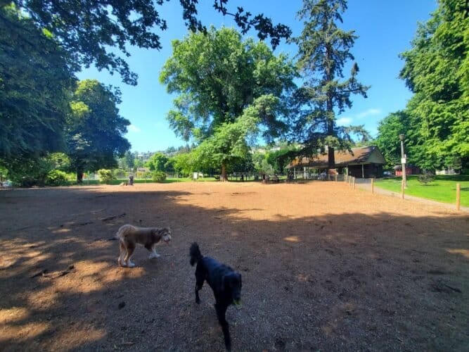 AC9h4nqsgYVtyYmsH0bZ8J0jt r2XIUdBsA8 PNLywPzslt E9Z6x Fnl8k68S Vx5OARvL lIqToY2ieZJM8lH30bQjKP6lNd2pbdKypIw1600 h1000 k no