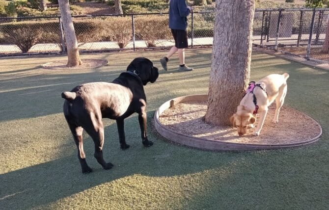 AC9h4nqt9i8QcoTJwz9bijva5iQEmoKNTU8wB4W33MajmWQEBJX3 qqLi0HZCz11TE5psbmBGPqdV IQEW6BCTtRRZmObt CkrS0zRnHAO8291nJAg9cfqpIF 7R4OANRcvQpQTcpIEw1600 h1000 k no