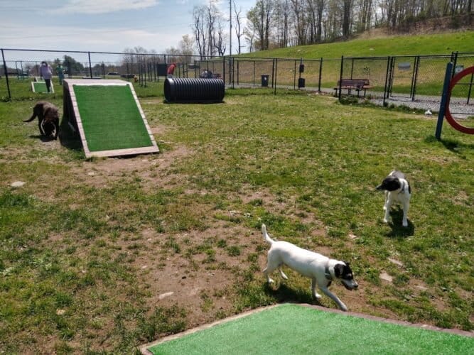 AC9h4nqtHoyPCpY 7rup 46vdouiZNseFElkUtNx6B0sql27 aTOVg82oWM5K4ufqfuSUL1qmhj7jkdJhB XlQX77XUDSKM8r8r0P0m2n0MI2QcTPJwRb5u2T5ZWzlYsHlxT3fqU5BMw1600 h1000 k no