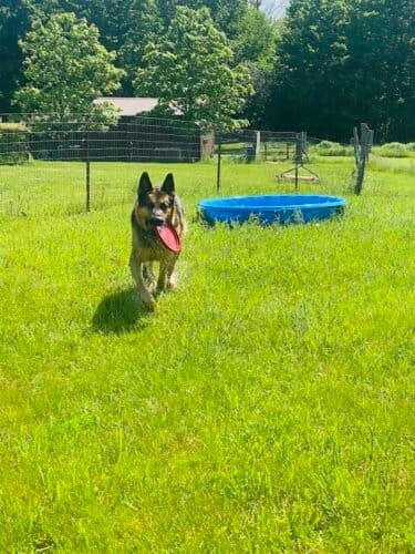 AC9h4nqtJLr1E i04O6M5W2hHMSyRBQYmEI5Mf3MkcS0DyHauChsxyBHRe1iATxOfeWmESf1BepdXd9fNG2ZIKvcMXNK82qcZ0lveQaKOtmmbTNt0 SI6Z652I5dQMaiN3EDBolHcrjvrAw1600 h1000 k no