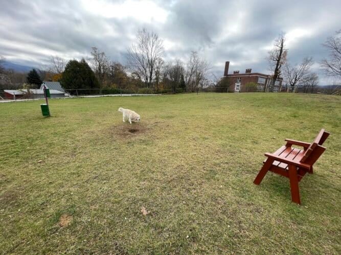 AC9h4nqtNZyFjqMeaVRGa8wJjv9J tciEraeawGYYLRjLZ0 A UptZ49iEDQbNQtVQvxi1uSKLjlKE1NCKuVBSjGzgfQ6SOVgPEP6riJASVwD  Twp7khvUT4N3Sq93WKZh9qTEzObWvw1600 h1000 k no