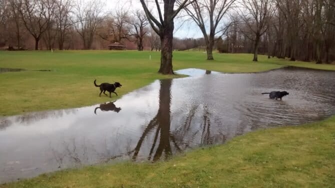 AC9h4nqtQfRV dVgKp1bp6pRW98BRu2Xd2vBqLo4ApoMsEtz1XSgSSFlZsmxM bthDmNxiLm1iXLneZwnjBGXWxlY2IIQCLGm5DjtvRgpMKq3v2rdZ3alpHIqO8n b86x4LbYOJWKIk86ww1600 h1000 k no