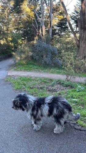 AC9h4nqtYZ8AMiYAMPlcMe0UHhMsXAXy jq3IsuMJjkiPAkg YkKuoH9LUsc6rnA ny6vtmDomjAY4JyorJwfmtDhowJ48stgwBop5lBJHzKgdPbSzHrYWRDyQpJmNqqa8Pv edgigiyw1600 h1000 k no