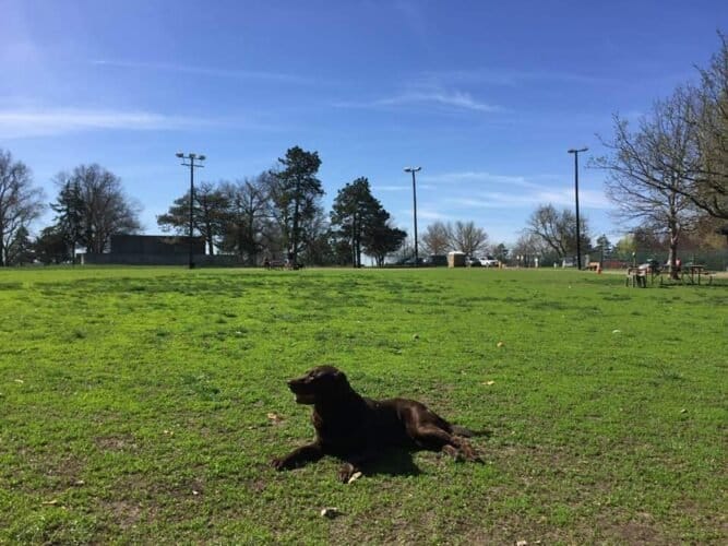 AC9h4nqtpK2AvoZv dwR7iy4kV8cUw5vpALmJqdyoDhZIAbr09ghuQLun9T0zrWX1f05AbFInssxvEoMX64rVPQjVxmpSlvrc9eYkB4nFBlD8aUlcOOtwVqLrPc2ZI1HRKdwP1boXkfgw1600 h1000 k no