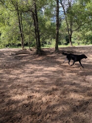 AC9h4nqtt3GTxJcIMlUk6zApCydoN78 QPIdpg5y2n54y64lhG RCIDFXLL MncQuXbfFnFcrh7YWymNde 8 uAaXoArFdKy5QJWL5lKp4 zpYx1c0zeYH3duPx jyi hOjxlgqiwnqMw1600 h1000 k no