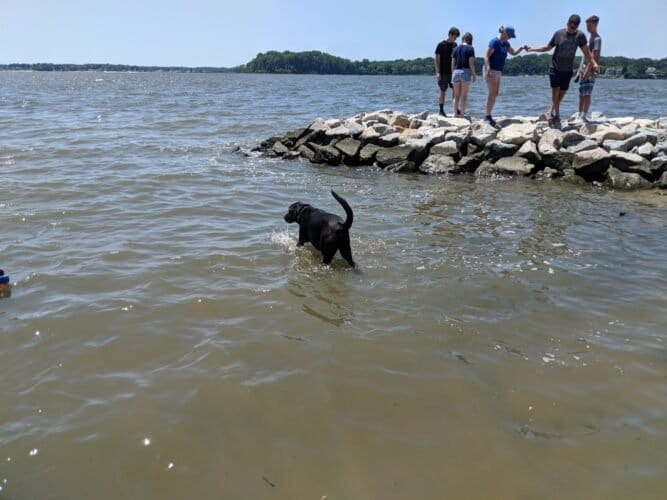 AC9h4nqtuhvK cge1fuW37E6ozAYr91QHg7dtzvyRlL8n sP69P9Y66LIG3JEMcVDboFHFmjkshZqwHlGQUKb4vtUJHi8kvvXT87bPA3iRYjyITb9Es4ssPqv0jEhFQyBG eFeKQWILEMgw1600 h1000 k no