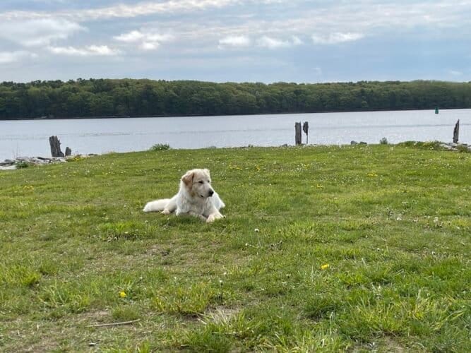 AC9h4nqu2FkO1H0xb8NY8RFDLvnOShc48Pmc5TuMHcINjYxvMY8OULDsVug4 9xgZ5fGjbCouz2uy19Lbz0FkKF2BaIVdmwjUXTvCNmAjac8ckLyMQsfAMdGnFw2Fb32fHFXxQq1oWTzjAw1600 h1000 k no