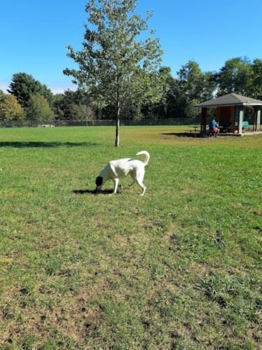 AC9h4nquWpZn2gpwLNF8lSDk9Ywm4 JtVj864yYjZgVHU2OxsMA8TfsesjrAZ 82LcULXqauQwKB4 BO7ZpccygjyJx4ce6ywWAijegAP GfPw124v3xaRhcgNiCMeGvXMNc6FG8rgtCw1600 h1000 k no