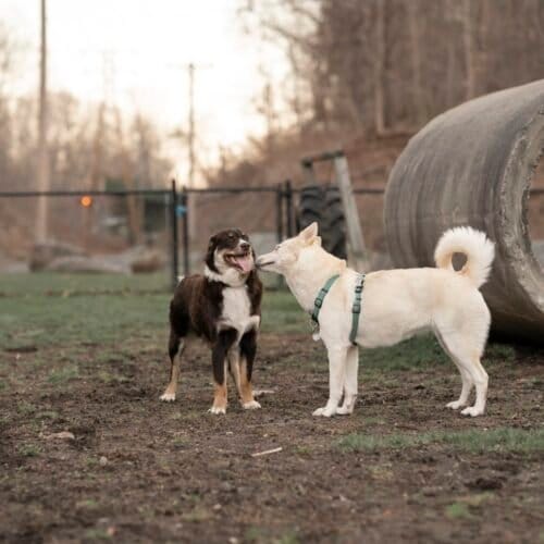 AC9h4nquWvAARENiUwuJZfUUlhA2i8tZXIO1dvpGk32Pn5aB6Oe0JUhf0A3wKr Kiy4eDZPQFHvlRSOg15J2tdCAg6jwZrP CtKMdvp c5Zcz6EeophwhqZsPENHan0SYsdM4gvR0wp5w1600 h1000 k no