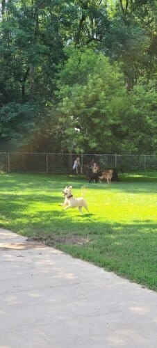 AC9h4nqumeeVDP4zK3 XbhRmiSW 52Osv 9kzIKEbaIblc pgleEWyqIo0RMQG 58AG1uFE0UTtgvKLptRRfWJap6985K6fWcPt8Sx5tpdc9LauVgBrnoT6Iq IQZNnIpk n9YBmITMw1600 h1000 k no