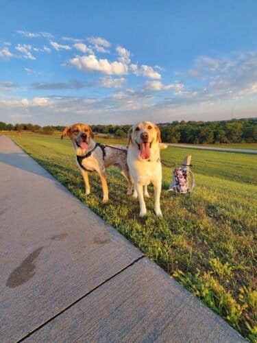 AC9h4nquwaWG4USephwCOuOtDMnkSPhVRlVcPUKUElRH4EoSiMUSLsqv5vL1EK8Xss6guBXm20724mSJwrnIHpPcSz  MCeQwlbzcc1mRv7ydLK5LNErtj84e4SCvsmDBLwbd58c3Uf3oAw1600 h1000 k no